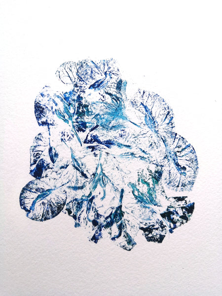 Estampe végétale - Bougainvillea 1 / monotype 24x30cm - art botanique - Blucanari