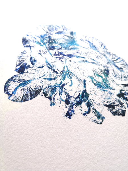 Estampe végétale - Bougainvillea 1 / monotype 24x30cm - art botanique - Blucanari