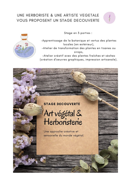Stage d'une journée - Art&plantes