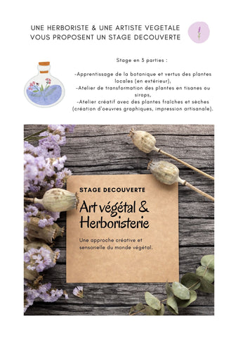 Stage d'une journée - Art&plantes