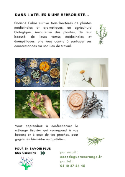 Stage d'une journée - Art&plantes