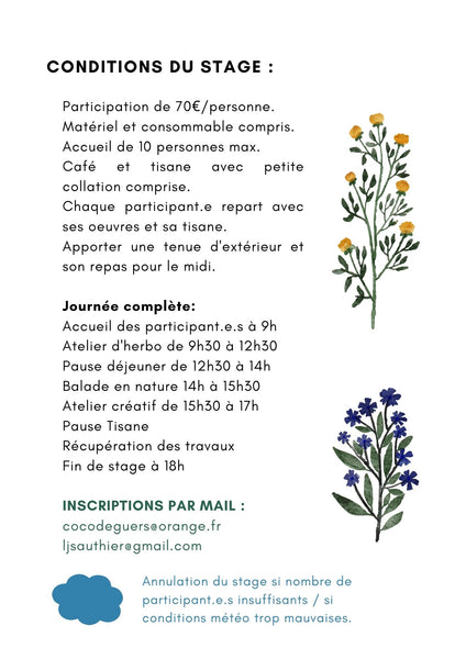 Stage d'une journée - Art&plantes
