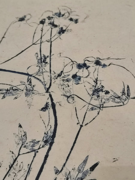 Impression sauvage / Monotype de plante sauvage 24x30cm