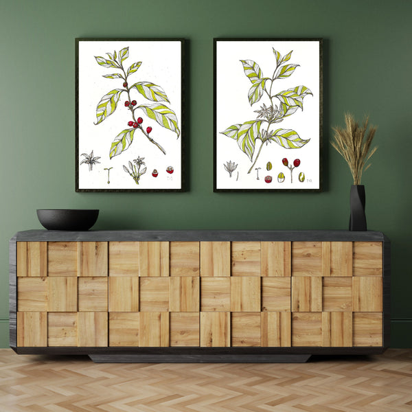 Mise en scène des affiches d'art de café planches botaniques sur mur vert